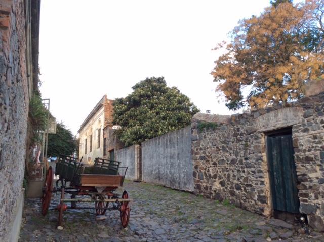 El Patio De Las Glicinas Colonia del Sacramento Exteriér fotografie